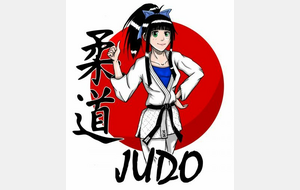 Stage judo piscine