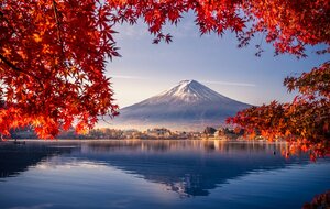 67f00a72b6287_Jap.jpg