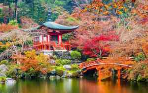 67f00a737f27c_KyotoDaigojitempleJaponSeanPavonePhotoFotolia9659171copyright.jpg